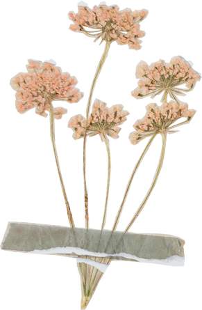 Vintage Feminine Romantic Taped Flowers Cutout